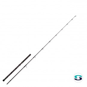 Zeck The Stone 2,70 - 300g