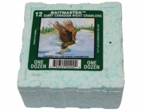 FTM Tauwürmer 24 St. - Thermo Box