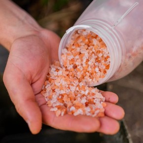 Nash Bait Himalayan Rock Salt Fine 0,5 kg